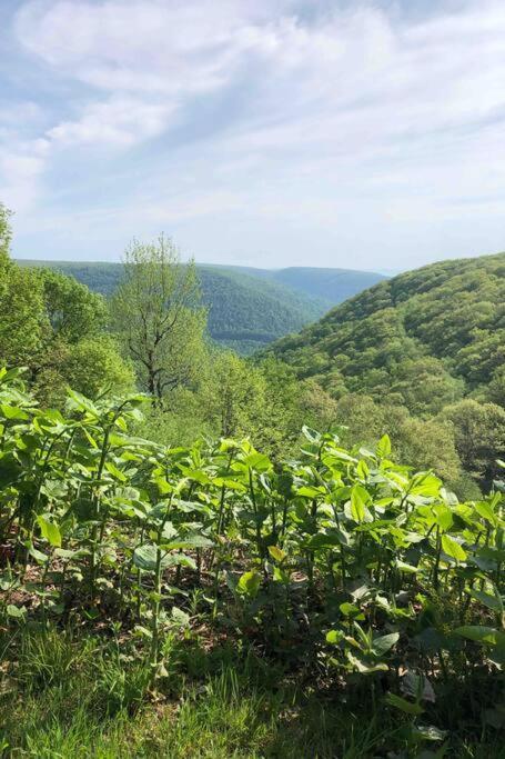 2 Bedroom 2 Bathroom - Blue Knob All Season Resort Condo Claysburg 外观 照片